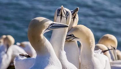 中国米兰-日本上调最低工资，涨幅创纪录